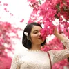 vietchinh33