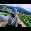ferinawdyt
