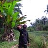 faisal_tod