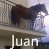 the_juan._.xd