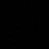 aicarv