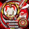 anjing473