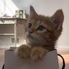 alize_5376