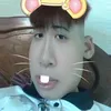 casibaohung