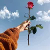 sal_lma95
