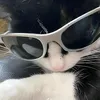 its_your_boi_sam01