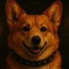 corgiofdestiny