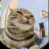 buitran_29