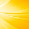 yellow_1204