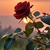 fatimah_ladan