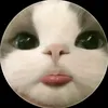 vo_anh_nay2