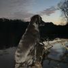 parker_d80