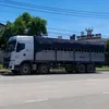 buivanhuy2841994