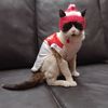 bigotesycanelita1