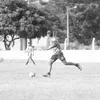 netinho_nt006
