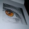 alekey_84