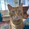 wilburnoliverfurlife