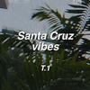 santacruzvibes1