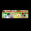 dy9o4rmxepks