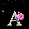 user2096401707229