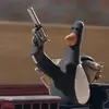 pinguimdoscontatos