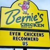 bernieschicken