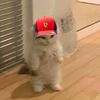 alvin.docx