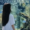 taanh.tanh