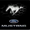 mustang_mike256