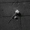 jordan_barce