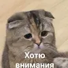 egreytyeb