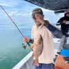 hafeeztaufik