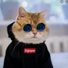 radzzzz_07