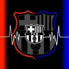 fandelbarcelona20