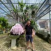 vinhlan05