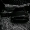 zwer_82