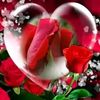 mayalina231