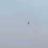 yadya_9