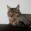 chloeedarras22