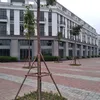 nguyenviettuan87