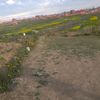 fabiolamt60