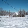 yalcin838