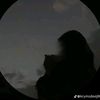 alia._12mh
