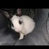 eviemaexoxxx