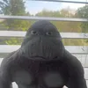 bobushka_thegorilla93