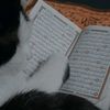 sa__jk__13