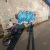 sergo14035