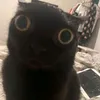 maabizita