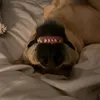 beau.cc0