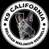 k9_california